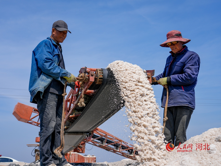 ????? ?? ??? ??? ???? ???? ??. [?? ??: ???]