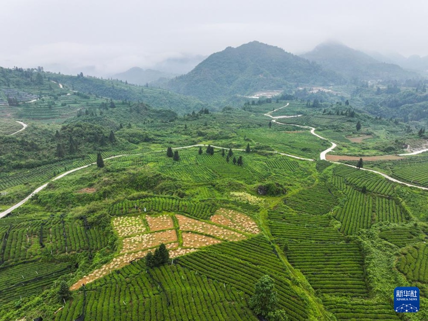 中 ????, ???? ?? ?? ??? ‘?? ?? ?????’