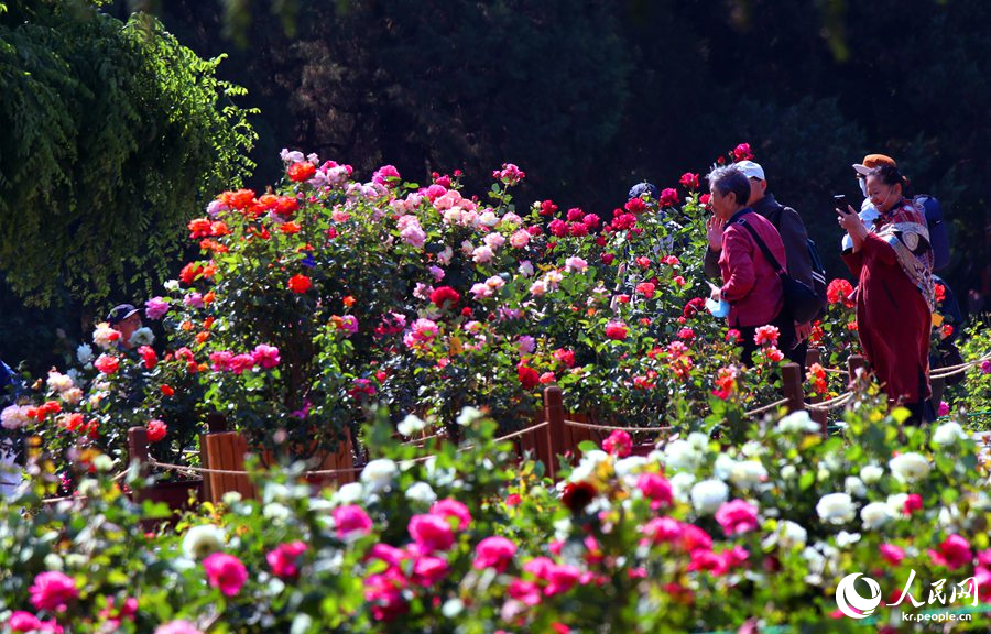 ??? ?????? ????? ?? ???? ???? ??. [?? ??: ???]