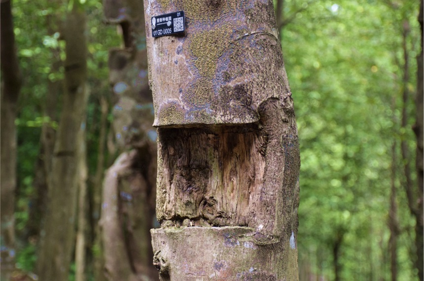 ?? ? ???? ???? ??? ??…?? ????? ???? ??