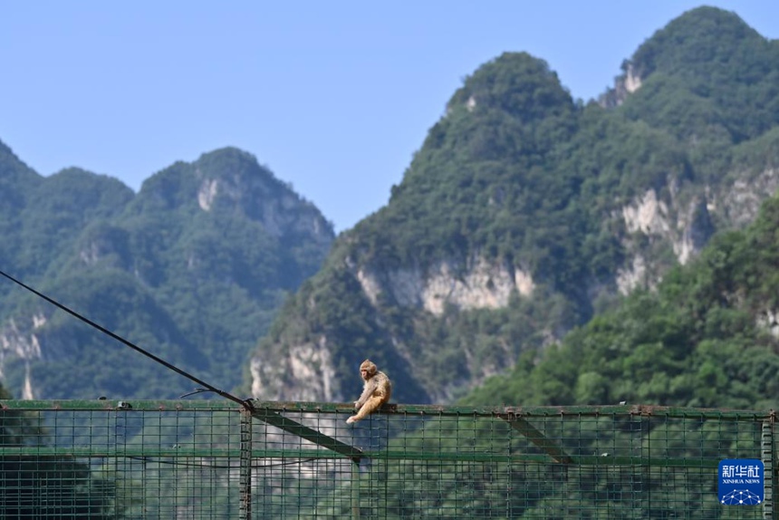 ?? ?????? ??? ??????? ??? ?????? [5? 21? ??/?? ??: ???]