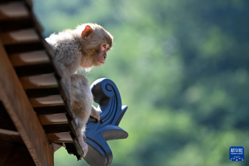 ?? ?????? ??? ??????? ??? ?????? [5? 21? ??/?? ??: ???]