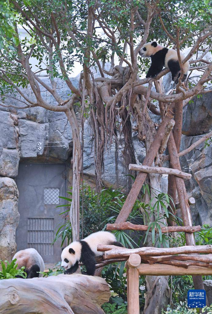 ‘??’(??)? ‘??’? ????? ?? ?? ??. [5? 27? ??/?? ??: ???]