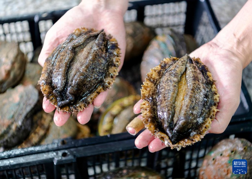 ?? ?? ??, ?? ???? ??? ‘??’