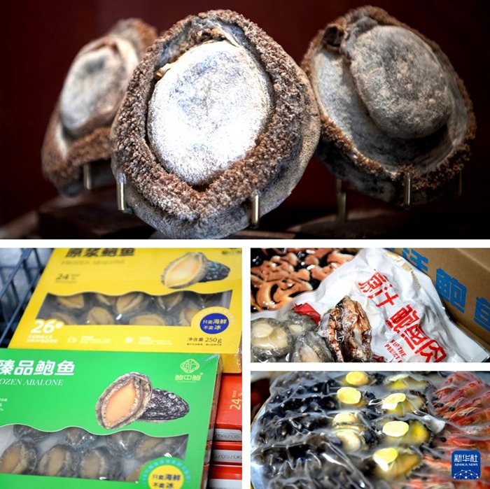 ?? ?? ??? ?? ?? ??? ??? ??? ?? ?? ?? ???? ??? ?? ???, ?? ?? ??, ?? ???? ?? ?? ? ??? ??? ??? ????. [5? 16? ??/?? ??: ???]