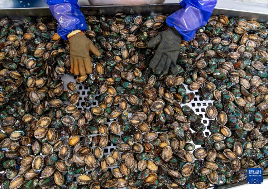 ???? ?? ??? ??? ??? ???? ??. [5? 16? ??/?? ??: ???]