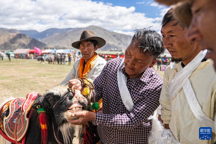 ??? ??? ??? ???? ?? ?? ??? ???? ??. [5? 29? ??/?? ??: ???]