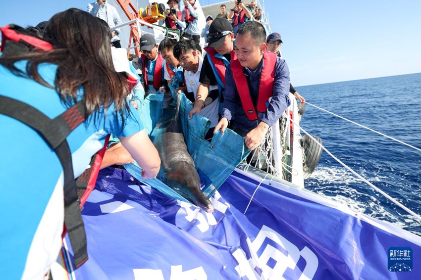 ??? ??? ??? ???????, ?? ???