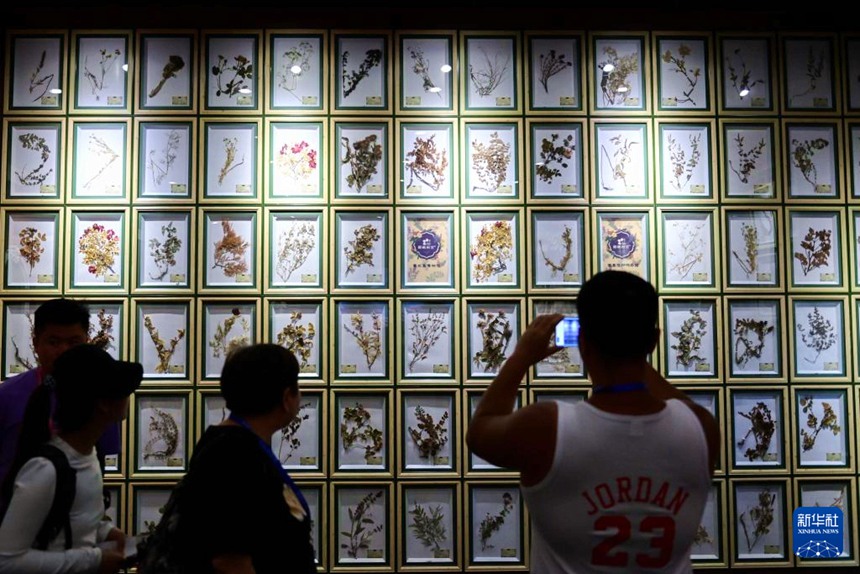 ???? ??? ???? ????? ??? ???? ???? ??. [6? 14? ??/?? ??: ???]