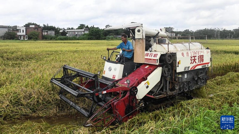 ?? ???? ???? ??(板坪)? ???? ???? ??? ?? ???? ??. [7? 2? ??/?? ??: ???]