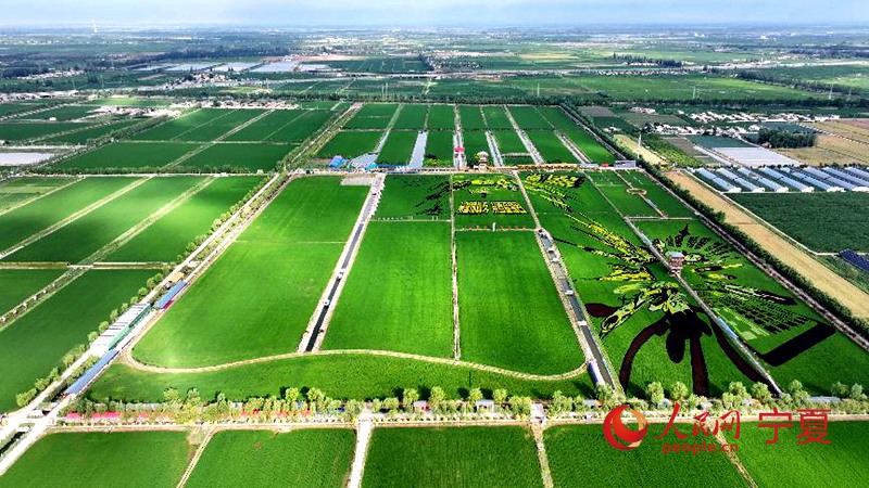 ????? ?? ?? ????? ?? ? ?? ?? [?? ??]