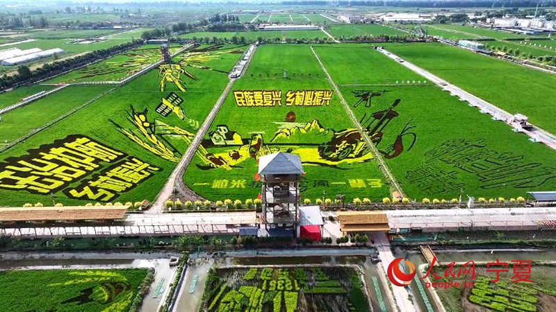 ????? ?? ?? ????? ?? ? ?? ?? [?? ??]