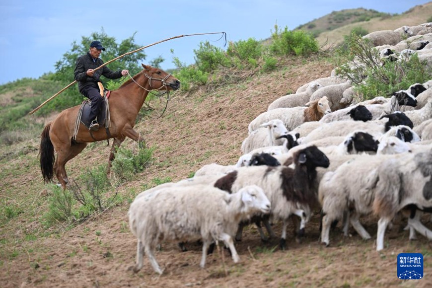 ??????? ?? ?? ????? ??? ??? ?? ??? ?? ??. [6? 13? ??/?? ??: ???]