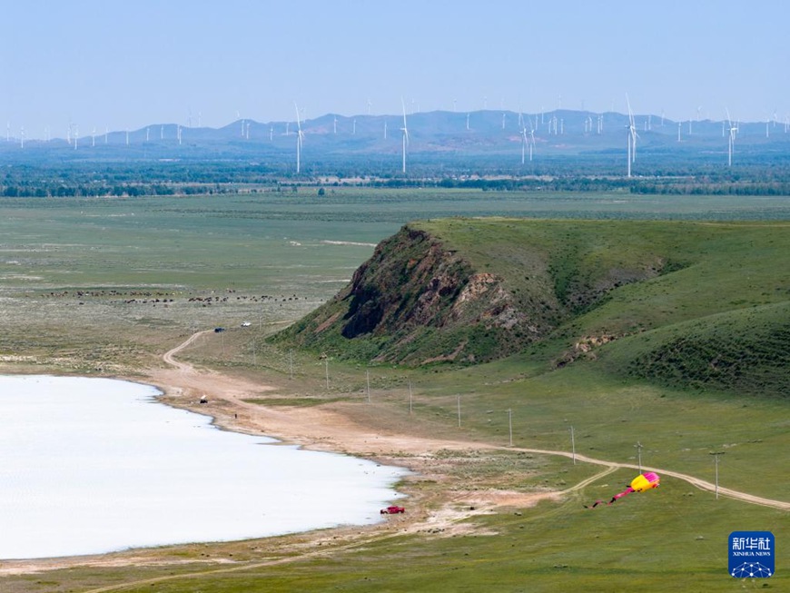 ????? ??? ?? [6? 11? ?? ??/?? ??: ???]