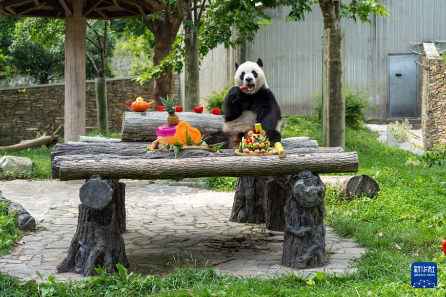 ?????? ????? ??? ??? ??. [7? 17? ??/?? ??: ???]