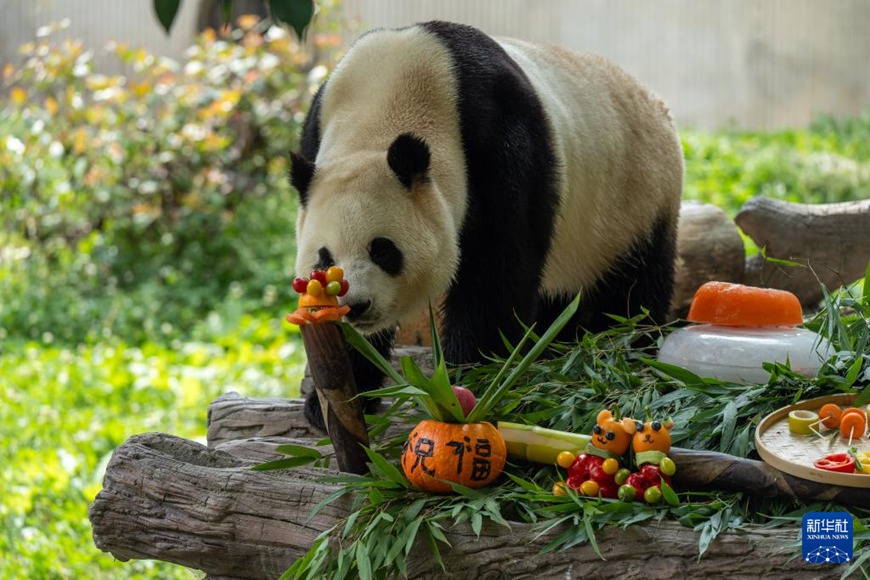 ?????? ???? ??? ??? ???? ??. [7? 17? ??/?? ??: ???]