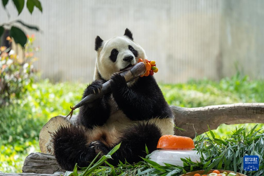 ?? ?? ?????? ?????? ?? ???? ??