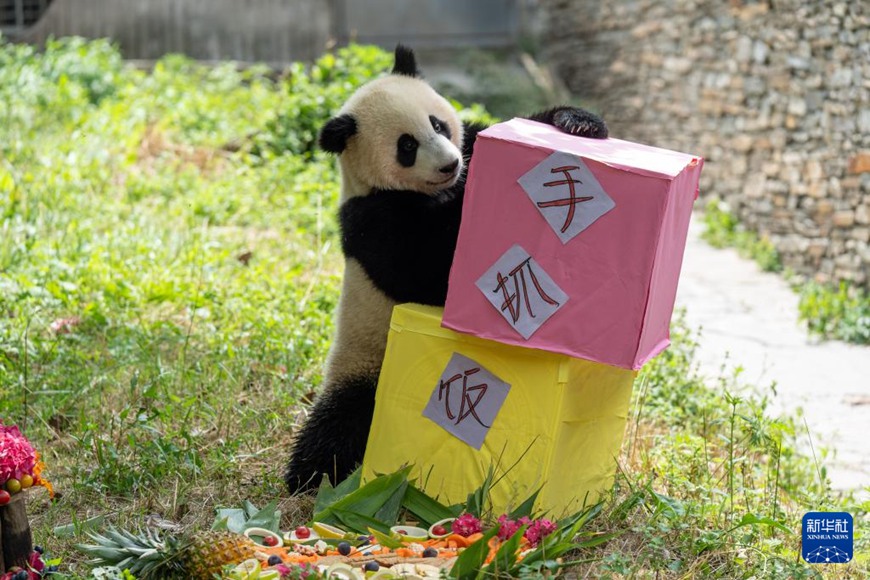 ?????? ??(璨璨)? ??? ?? ??. [7? 17? ??/?? ??: ???]