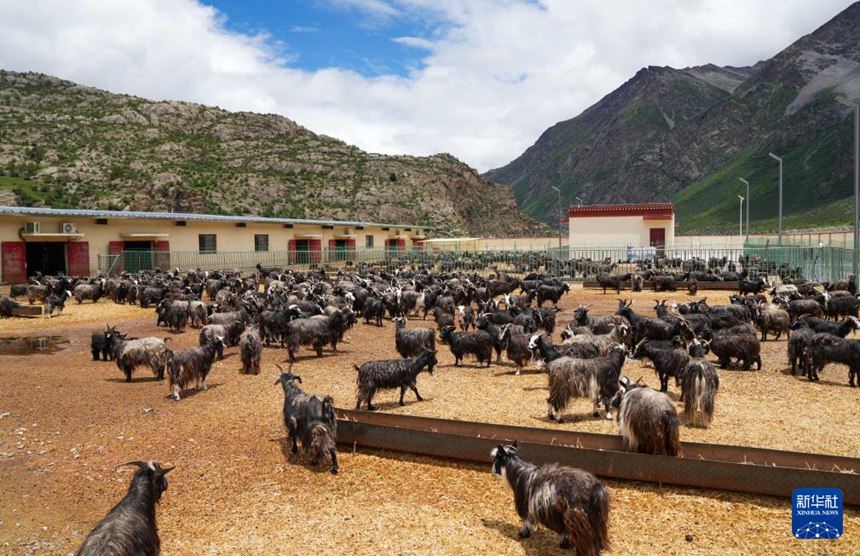 ????? ?? ??? [7? 20? ??/?? ??: ???]