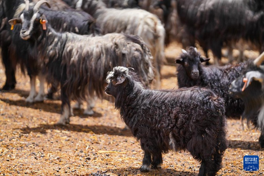 ????? ?? ??? [7? 20? ??/?? ??: ???]