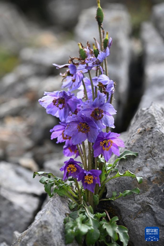 7? 23? ????? ???? ??? ????? ??? ???? ??? [?? ??: ???]