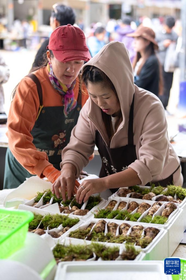 ???? ???? ?????? ???? ????? ???? ??. [7? 24? ??/?? ??: ???]