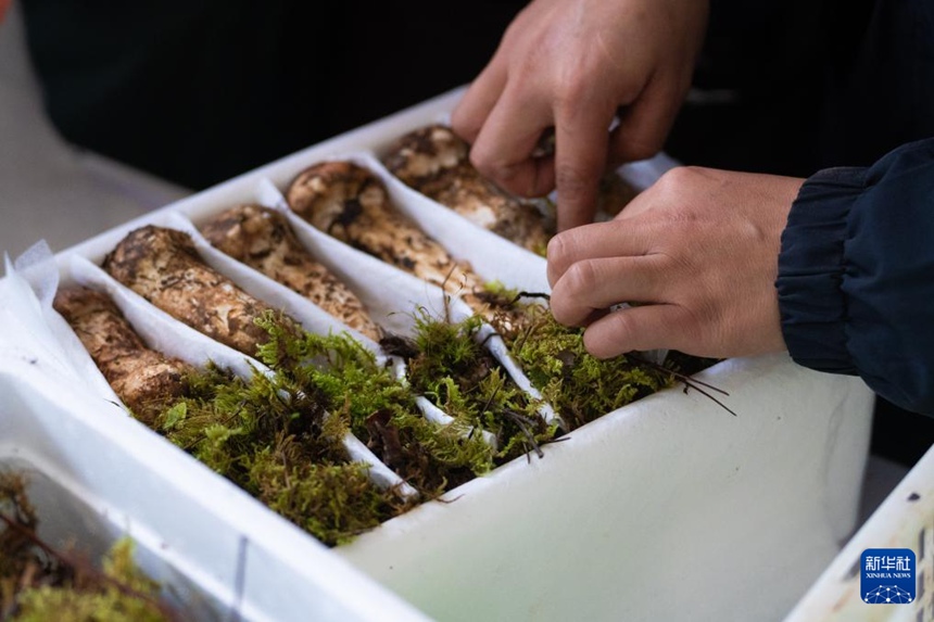 ??? ???? ?????? ???? ????? ???? ??. [7? 24? ??/?? ??: ???]