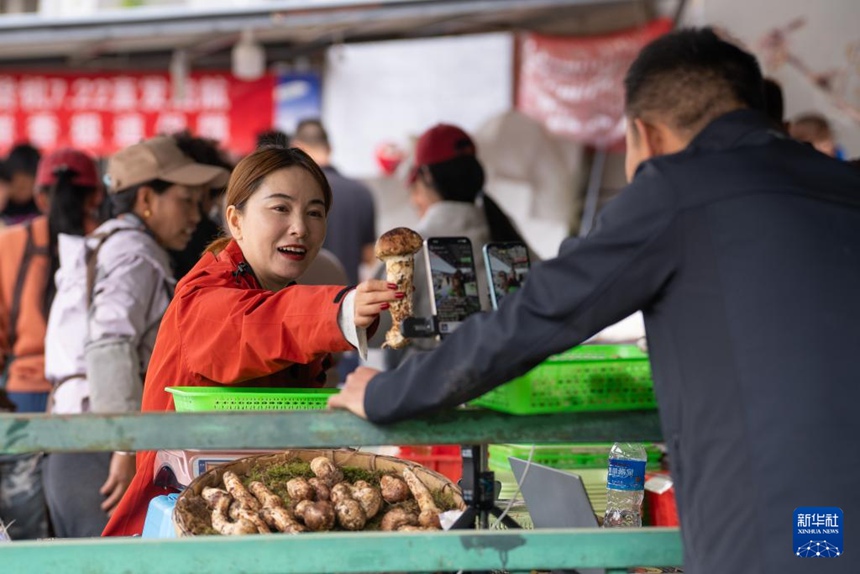 ???? ???? ?????? ???? ????? ???? ???? ??. [7? 24? ??/?? ??: ???]