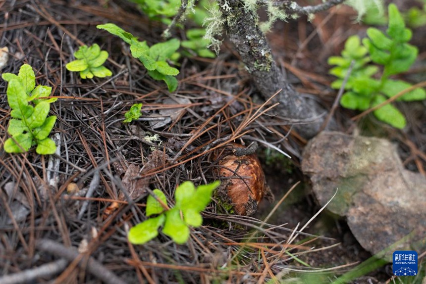 ????? ????? ??? ???? [7? 25? ??/?? ??: ???]