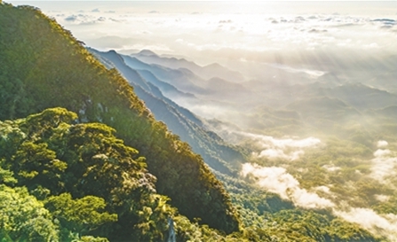 ?? ?? 5? ????, ??? ?? ?? ??