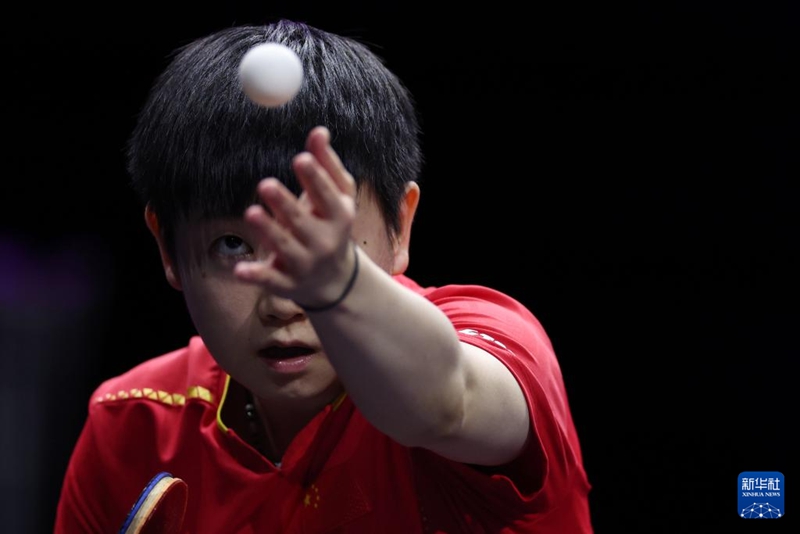 ???? ?? ? ???? ?? [8? 11? ??/?? ??: ???]