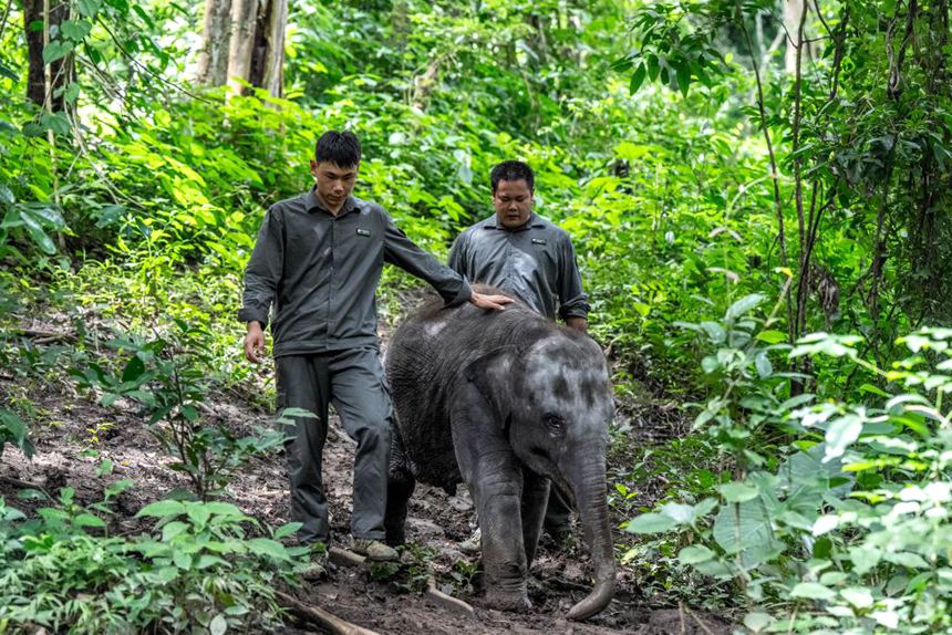 ???? ?????? ???????? ???(莫詩(shī)宇, ??), ???(巖翁罕) ??? ?? ???? ??? ???? ??? ???? ??. [8? 10? ??/?? ??: ???]