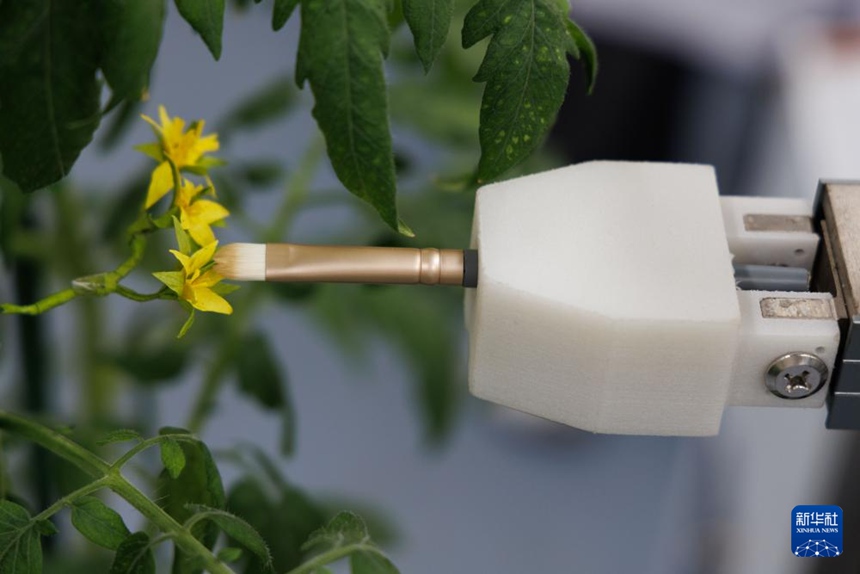 ????? ???·???????? ????? ‘??’? ?? ?? ??? ?? ??. [8? 12? ??/?? ??: ???]