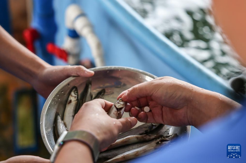 ???? ???? ?? ? ??? ???? ??, ?? ???? ??? ?? ??? ??? ‘??’? ??? ?? ??. [9? 14? ??/?? ??: ???]