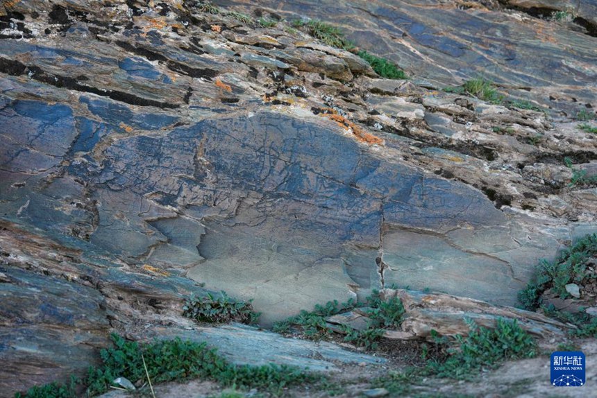 ‘??? ? ??’ [7? 25? ??/?? ??: ???]