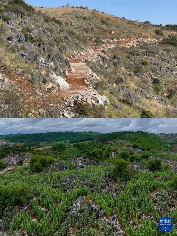 ▲???? ???? ?? ??? ?? [?? ??: ??? ? ??? ???] ▼??? ???? [8? 7? ?? ??/?? ??: ???]