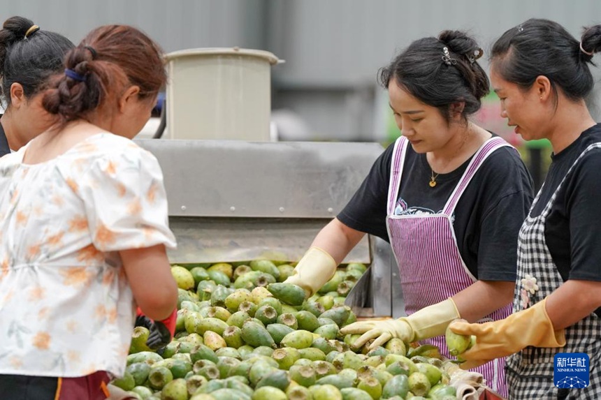 ?? ???? ??? ?? ???? ??? ??? ???? ??. [8? 6? ??/?? ??: ???]