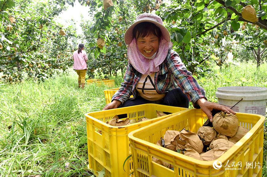 ???(河北)? ??(威)? ? ????? ??? ?? ???? ??.