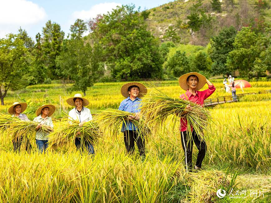 ???(湖北)? ??(武漢)? ??(黃陂)? ???(大余灣)? ??? ??? ?? ??? ?? ????, ?? ???? ????? ???.