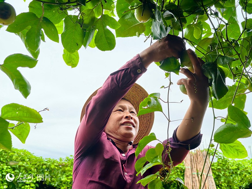 ???(海南)? ????(?？?? ??(東山)??? ?? ?? ????(古紹劉) ?? ?????? ?? ??.