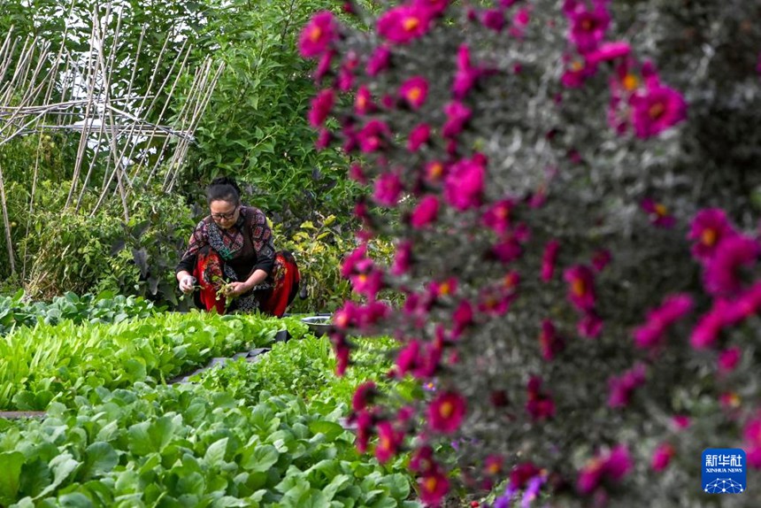 ? ??? ???? ??? ??. [9? 17? ??/?? ??: ???]