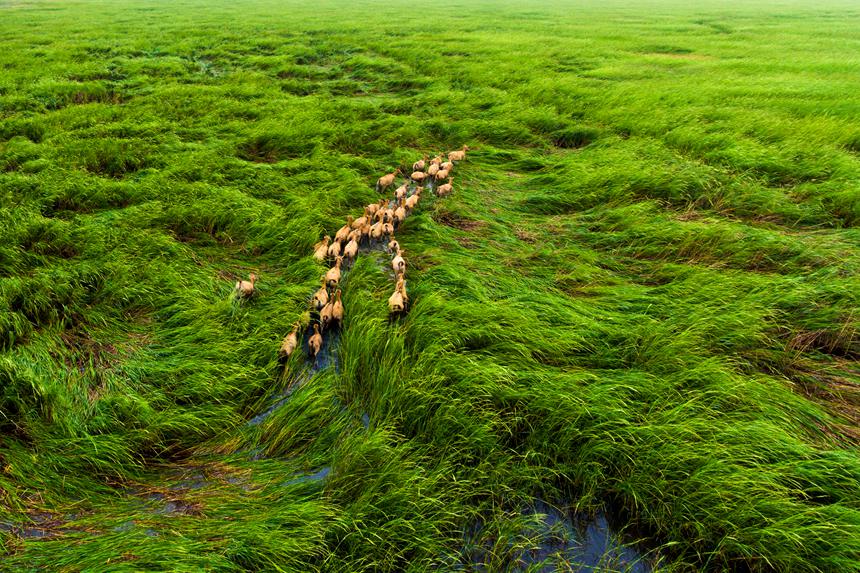 ??? ‘??? ???’ [?? ??: ???]