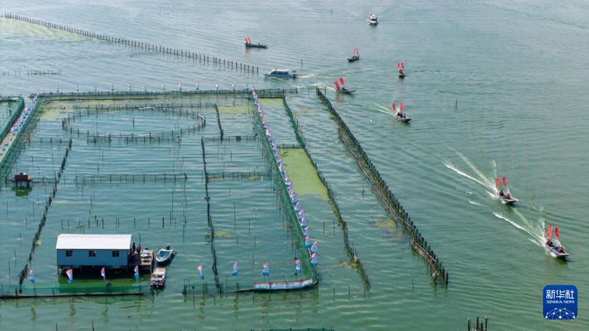 ????? ??? ??? ??? ??? [?? ??: ???]