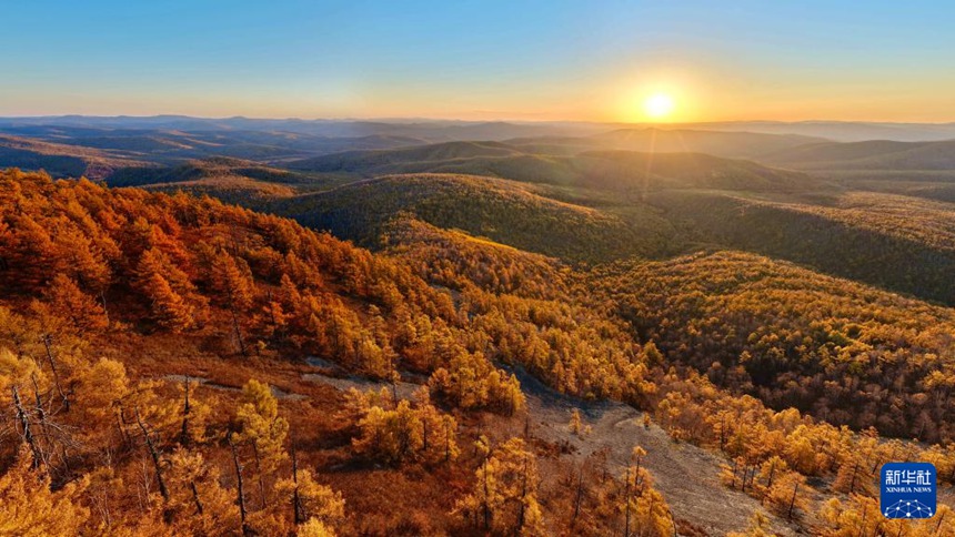 [??] ???? ?????, ????? ??? ‘??? ??’