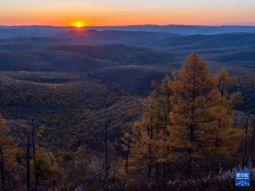 ???? ???? ?? [9? 28? ??/?? ??: ???]