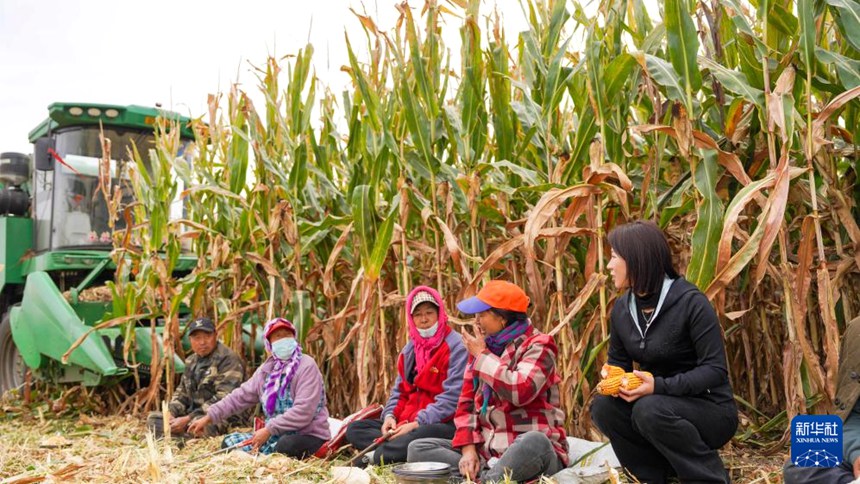 ???? ???? ???? ?? ?? ??? ????? ??. [10? 9? ??/?? ??: ???]