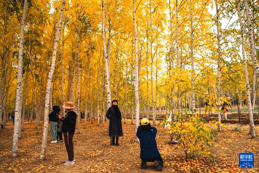 ????? ??????? ?? ??? ???? ??. [10? 12? ??/?? ??: ???]