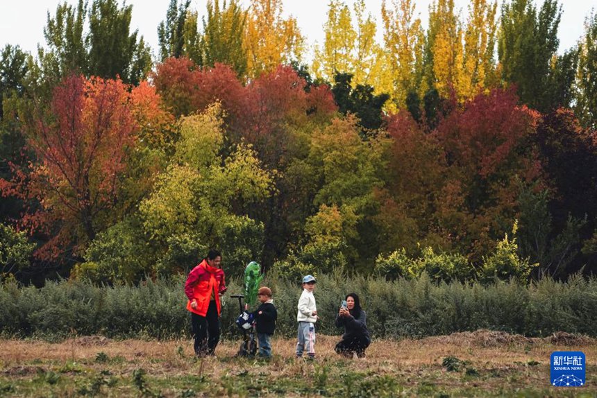 ????? ??????? ?? ??? ???? ??. [10? 12? ??/?? ??: ???]