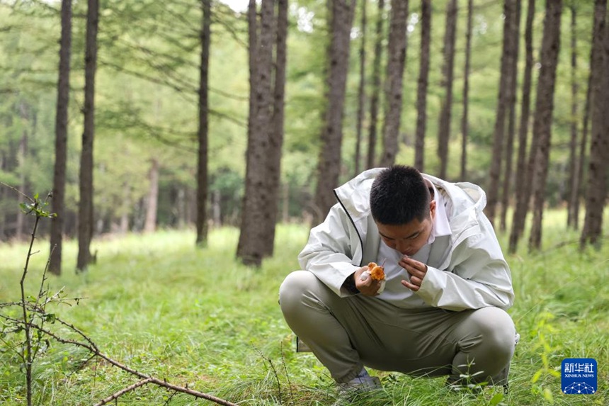 ???? ???? ??? ????? ?? ??? ??? ?? ??. [8? 17? ??/?? ??: ???]