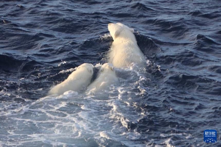 ???? ?? ???? ? ?? ?? [8? 31? ??/?? ??: ???]